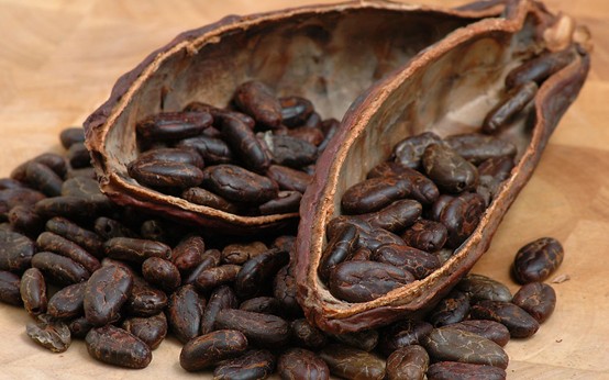 cocoa beans