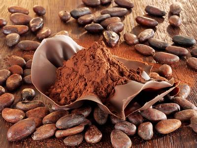 cocoa beans powder