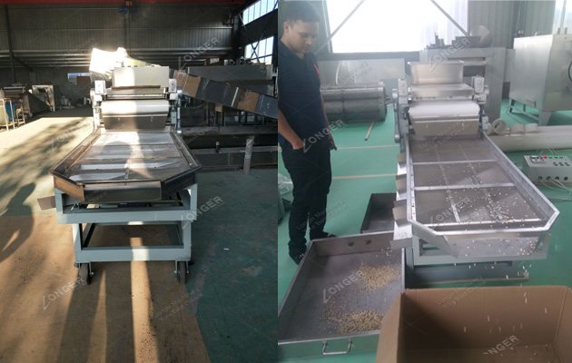 peanut chopping cutting machine 