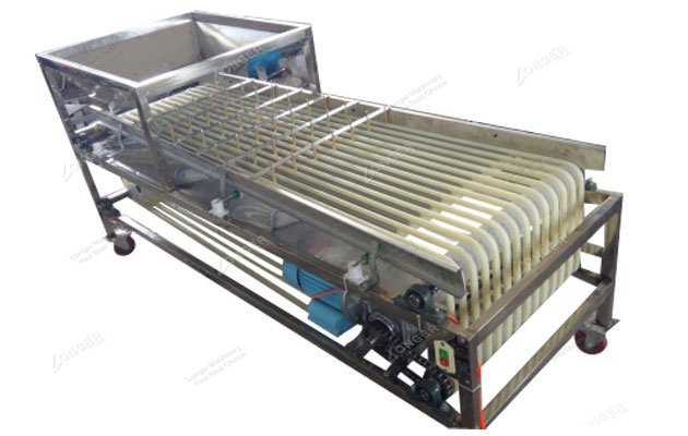 jujube sorting machine